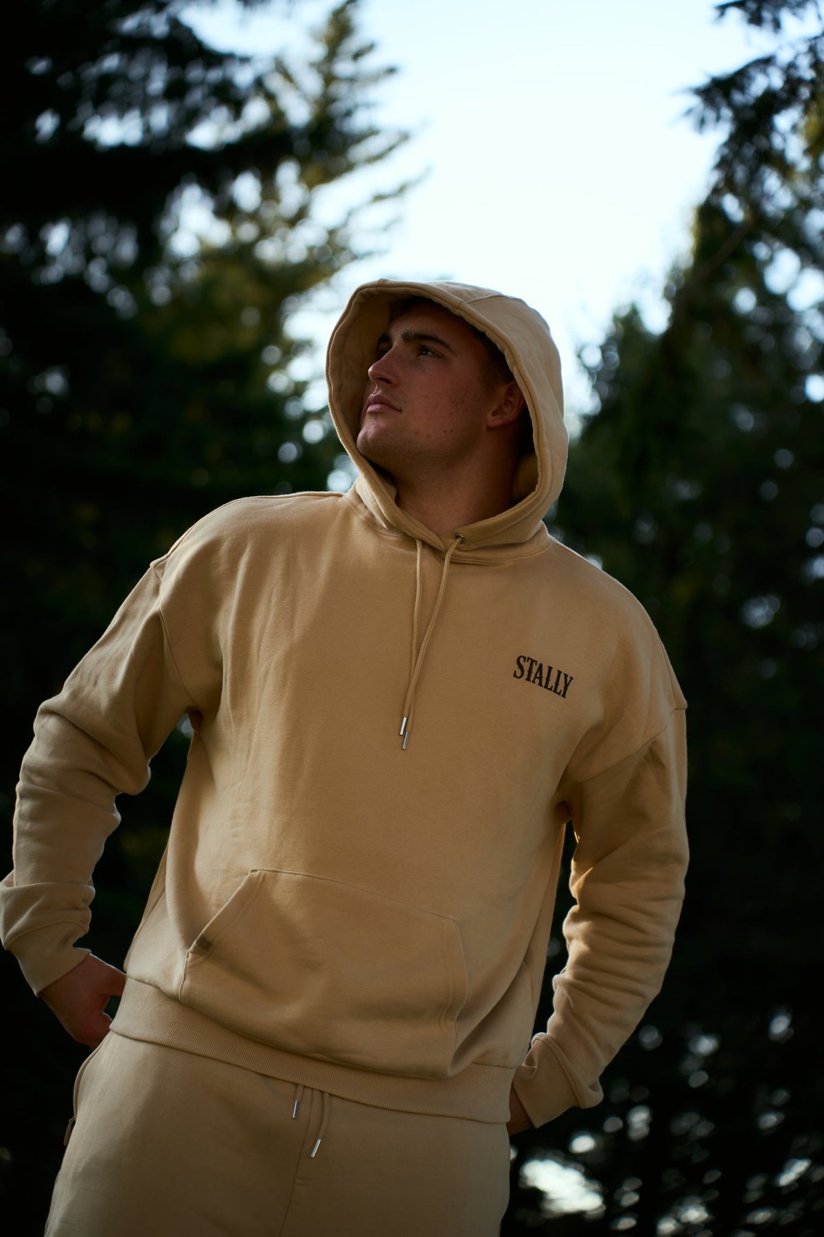 STALLY Draft Hoodie in Saddlewood on model