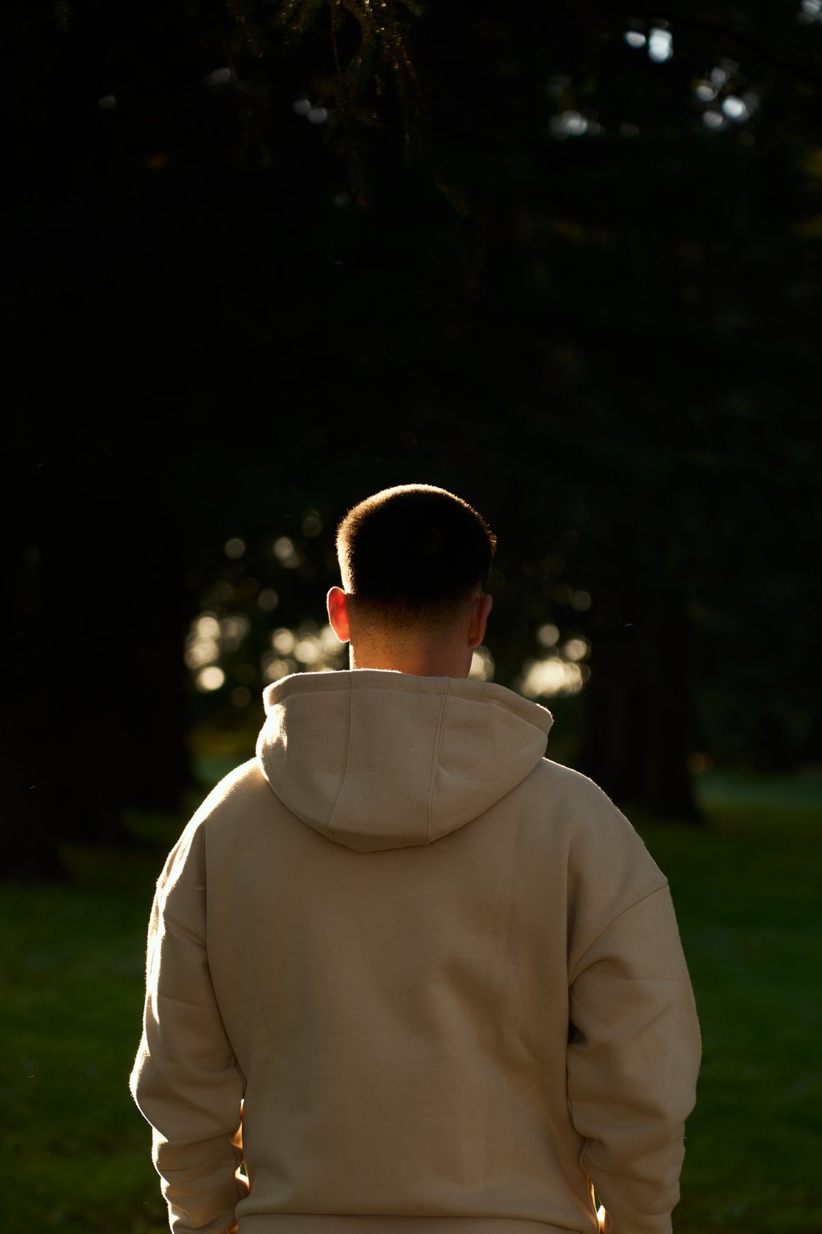 STALLY Draft Hoodie in Saddlewood on model
