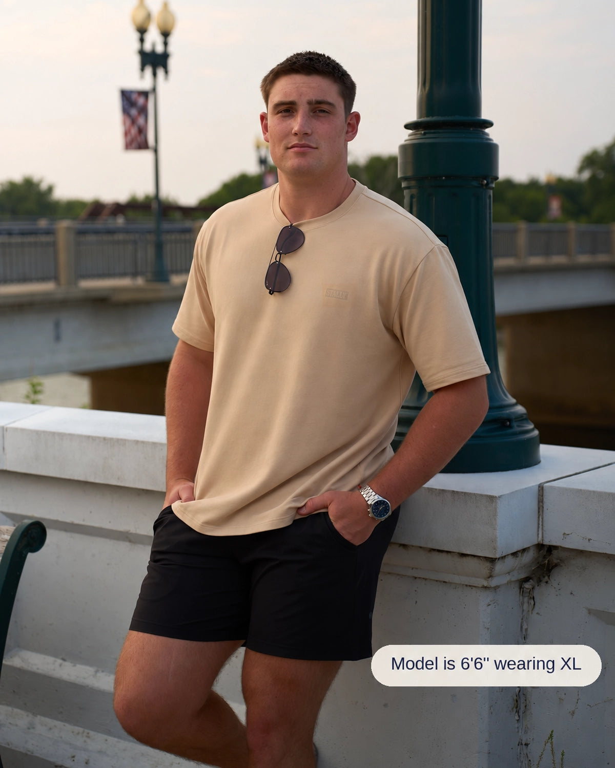 Horsepower Mens Boxy Tee in Saddlewood, front view